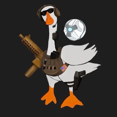 talkTIMMYgoose_ Profile Picture