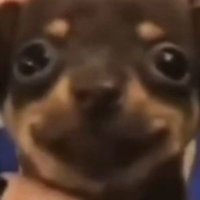 Pedrositoxs (@pedrositoo) 's Twitter Profile