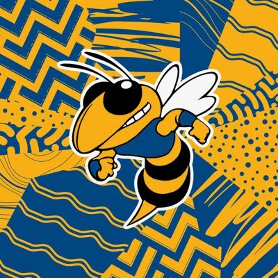 Official Twitter account for Big Lake High School Football. #WinTheDay