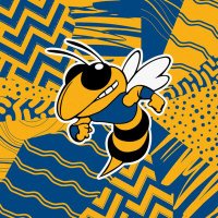 Big Lake Football (@biglakefootball) 's Twitter Profile