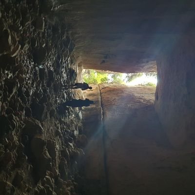 sevket007's profile picture. Dönenler Döndü Biz Asla Dönmeyiz.