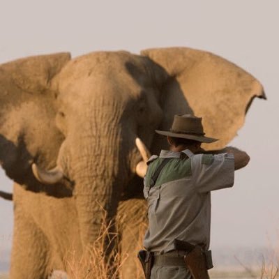 miguelgesualdi's profile picture. Medico Cardiologo Uba