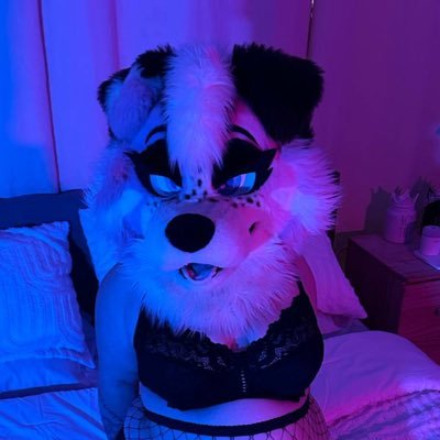 Just a Pretty Puppy with Kinks | 31 | Kinky | Curvy | B•R•A•T | Service Sub | 18+ Account | NSFW | Collared by @TheSharkAD |