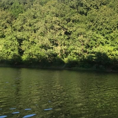 abdulaahi309's profile picture. no body can guide your destiny# Somali senior officer #awdal state of somalia.