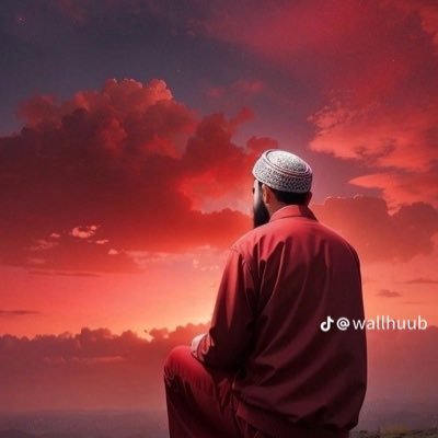 Sina_Kx15's profile picture. 