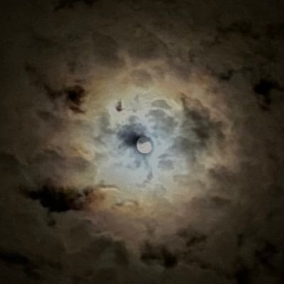 luigi_cpv's profile picture. Ho tempo per commentare ma non per scrivere la bio … ciao