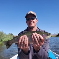 Daniel Benefield (@danielbene57271) 's Twitter Profile
