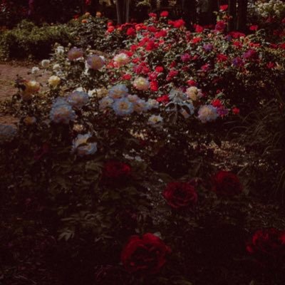 kayoemzi's profile picture. 