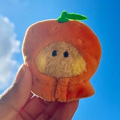 taking tangerine shooky in my pocket to the most beautiful places * . ˚ ✧ | here to bring you comfort while our tangerine thief is away 💌 | ot7 only