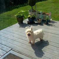 Senga Singleton (@sengasingleton) 's Twitter Profile