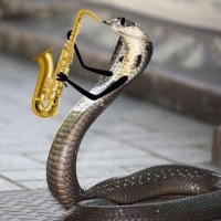 A7mad64 (@h4lfdragon) 's Twitter Profile