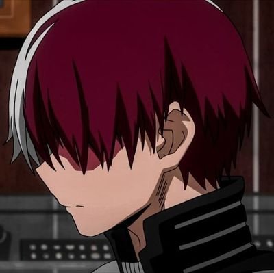 Shoto Todoroki - Endeavor's prodigious son with a powerful quirk, striving to forge my