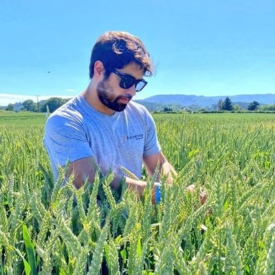 Gene Editing & Agro-Tech at Neocrop Technologies  🌱🧬🛰 | BTI @ScienceAlly Fellow | De Antofa, injertado en Stgo/Valdivia y alguna vez fui triatleta 🇨🇱