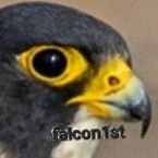 Falcon1st(@hwfalken) 's Twitter Profile Photo
