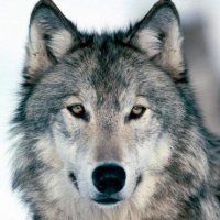 Ezquerra 88 (@ezquerra88) 's Twitter Profile Photo Ezquerra 88 (@ezquerra88) 's Twitter Profile Photo