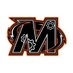 Elsie Engineering (@emssengineering) Twitter profile photo Elsie Engineering (@emssengineering) Twitter profile photo
