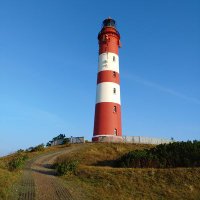 Kilimanjaro (@buntewelt02) 's Twitter Profile
