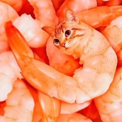 cujo309's profile picture. I drive forklifts and farm equipment, play trombone, DnD and video games.     

Welcome to my cage, sweet lover
-Missio