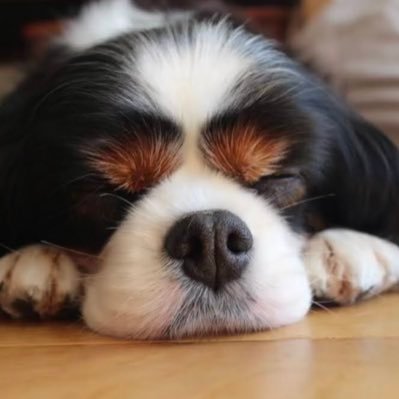 a__0812's profile picture. 