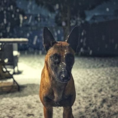@cammax2000