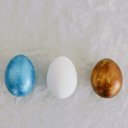 Casey Soto - @CaseySoto125951 - Twitter