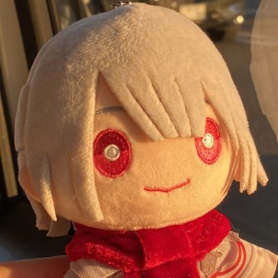 arii 🫘さんのプロフィール画像