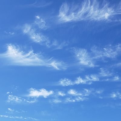 DiegoOl12846843's profile picture. 