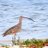 HH_TheSky7's profile image