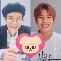た🐺🐰🐖🐇🥟🐿🐥🐶🦊あ (@since_20230427) Twitter profile photo