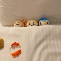 あい(ぞ) (@kiai_ai) 's Twitter Profile Photo あい(ぞ) (@kiai_ai) 's Twitter Profile Photo