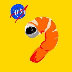 I am a real shrimp that works for NASA