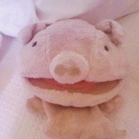 こつまる (@mmtanchan) 's Twitter Profile