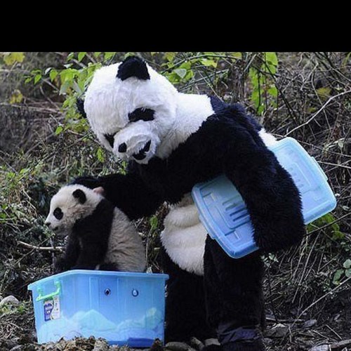 Corey Ritchie (@corza79) | Twitter