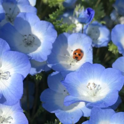 _Nmmt_Machi_'s profile picture. 20↑ 何かあればdiscordまで 鍵はあけたりあけなかったり