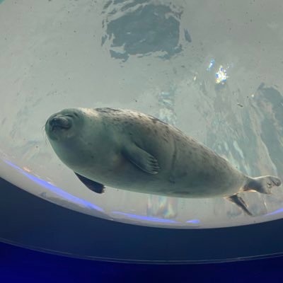 gen_0128__star's profile picture. 