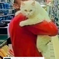 Mei💮@趣味友がほしい(ㅅ •͈ᴗ•͈) (@amitkum41972974) 's Twitter Profile
