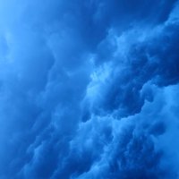 Mutus Liber (@l34303) 's Twitter Profile Photo