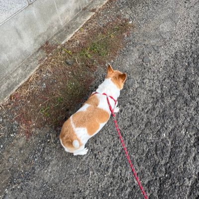 fu_jiisan717's profile picture. 女です。Caratちゃんです💎