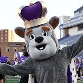 FOLLOW @JMUBarstool (@jmucurtcignetti) 's Twitter Profile