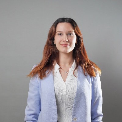 PhD. Candidate @IllinoisCS. Researching faster and efficient generative artifical intelligence