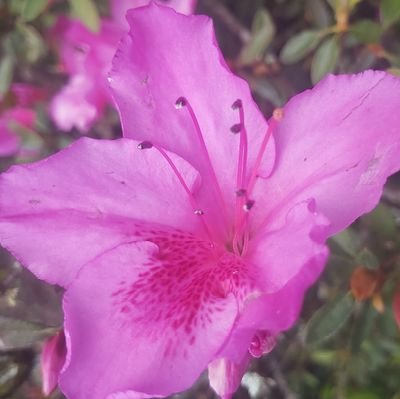 kayal108's profile picture. 