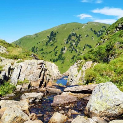 Qomolangma_zf's profile picture. 