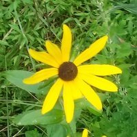 gogolsdeadsoul's profile picture. “You can't imagine how stupid the whole world has grown nowadays.”--Gogol
US Immigration lawyer; Vizsla enthusiast; Jew with steadfast knees.