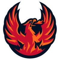 y - Coachella Valley Firebirds(@Firebirds) 's Twitter Profileg