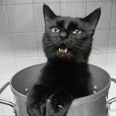 JChaykowski's profile picture. 