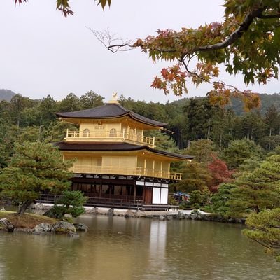 4VbdjS2r3N51289's profile picture. 東方神起と旅行が大好きです。
チャンミンが笑っていたら幸せ