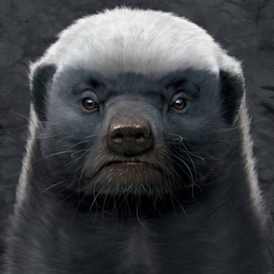SamPam42765642's profile picture. 