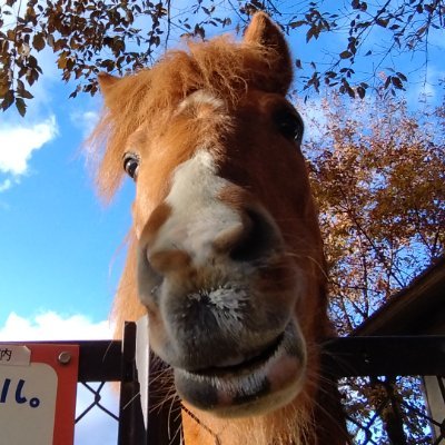 Naba0608T's profile picture. 宮城の４３歳。主に一人行動、風の吹くまま、気分の向くまま思ったことや、撮った写真をツイートする。気になるアカウントはこっそりとフォローさせていただきます。求向上心