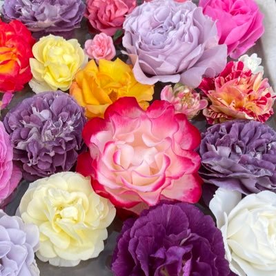 reco_foyer's profile picture. 愛と調和で平和だよ🫶乳幼児の枠珍の数に疑問‼️ 5Gは頭痛の元！移民受け入れ反対！庭の花らぶ❤️夫.子ども達孫超LOVE❤️※DMは知り合いのみ