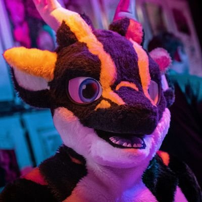 German 🇩🇪 | Male | 26 years | love gaming, hardstyle, fursuiting and dragons